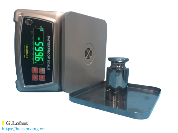 https://hoasenvang.info/wp-content/uploads/2025/07/can-dien-tu-zw-5806-chong-nuoc-loadmax-7463.png