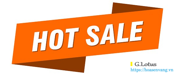 https://hoasenvang.info/wp-content/uploads/2025/09/mua-can-dien-tu-hot-sale-hoasenvang-3232tr.jpg